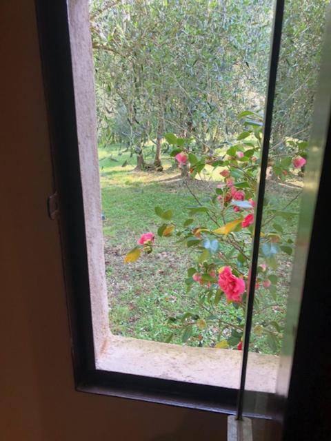 Agriturismo La Pieve Colle Val D'Elsa Eksteriør bilde