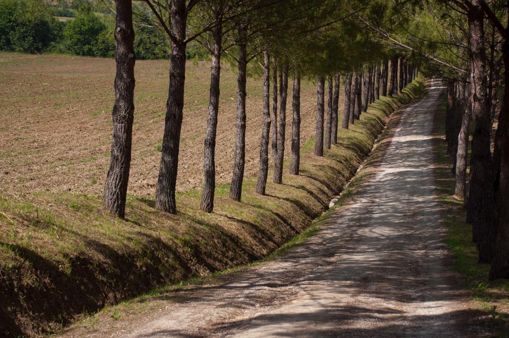 Agriturismo La Pieve Colle Val D'Elsa Eksteriør bilde