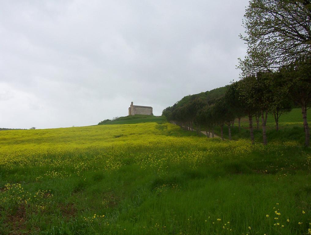 Agriturismo La Pieve Colle Val D'Elsa Eksteriør bilde