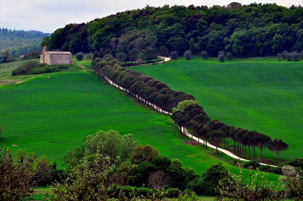 Agriturismo La Pieve Colle Val D'Elsa Eksteriør bilde