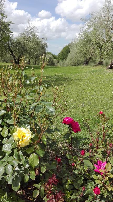 Agriturismo La Pieve Colle Val D'Elsa Eksteriør bilde