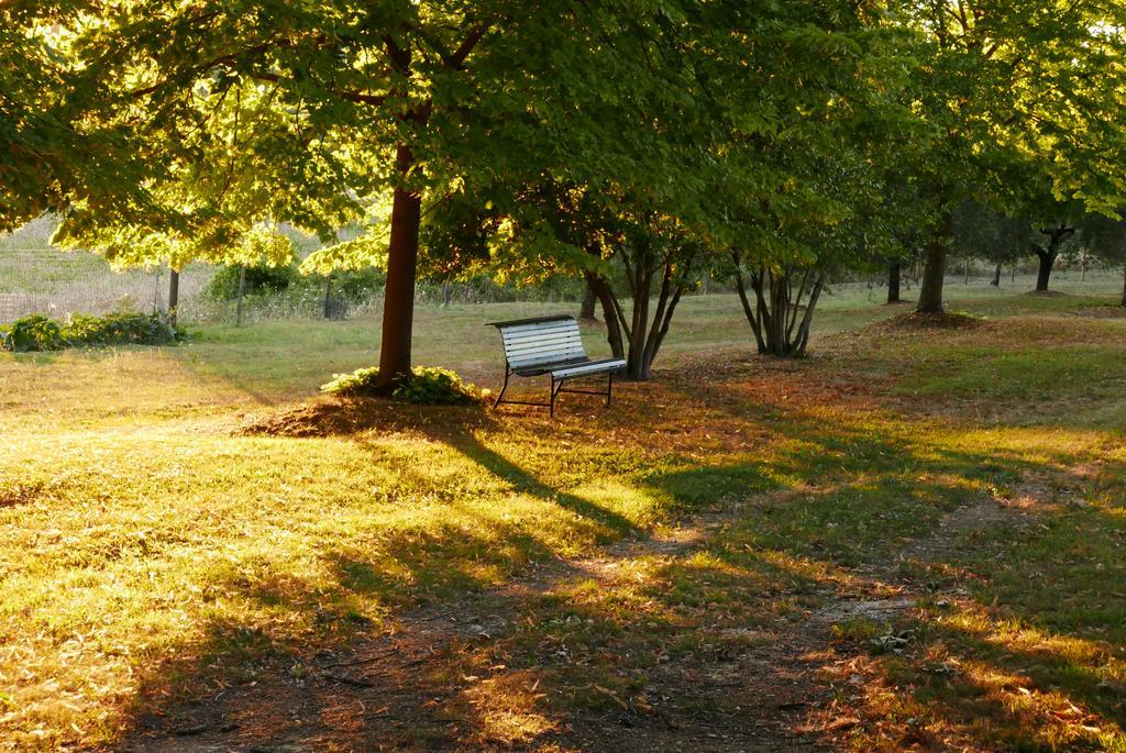 Agriturismo La Pieve Colle Val D'Elsa Eksteriør bilde